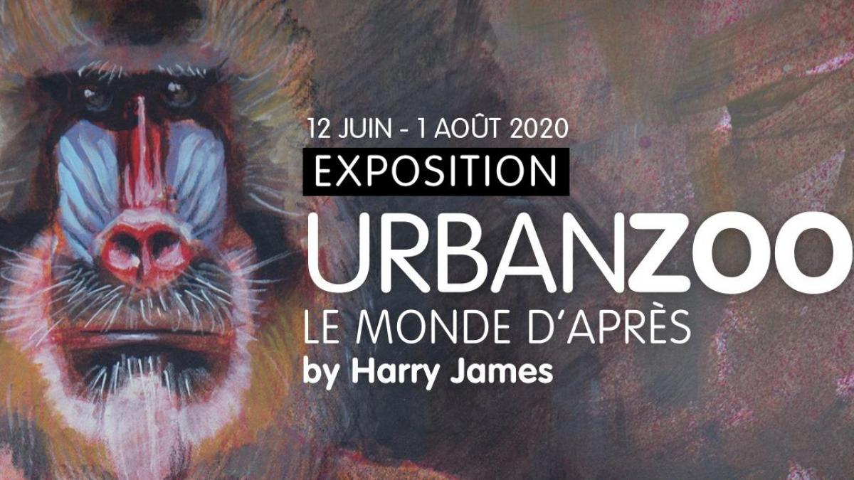 Street Art: Harry James s’expose dans le Grand Centre - Actualités | DesRecherches.com