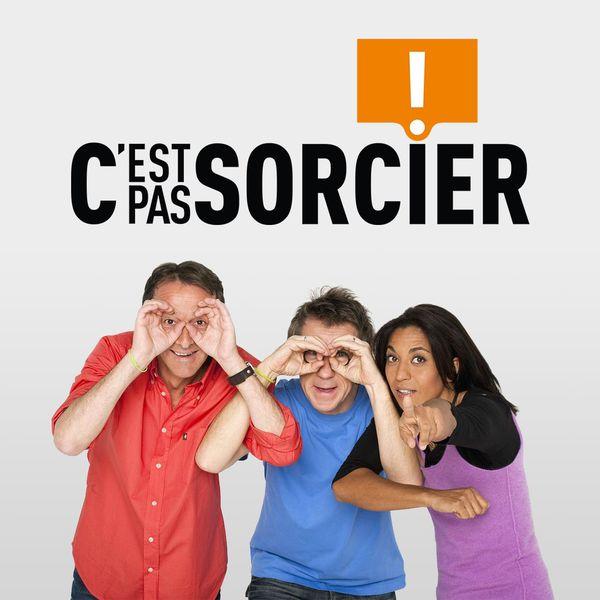 Logo - C'est pas sorcier !