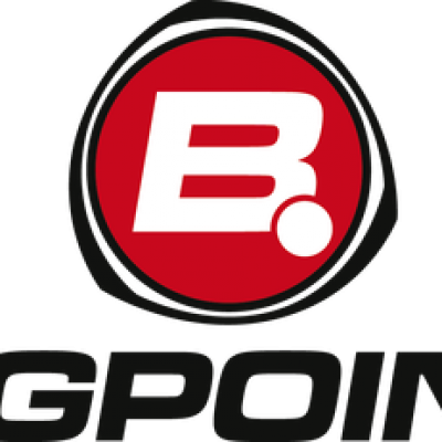 Bigpoint logo