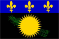 Drapeau de la guadeloupe 5075 cm