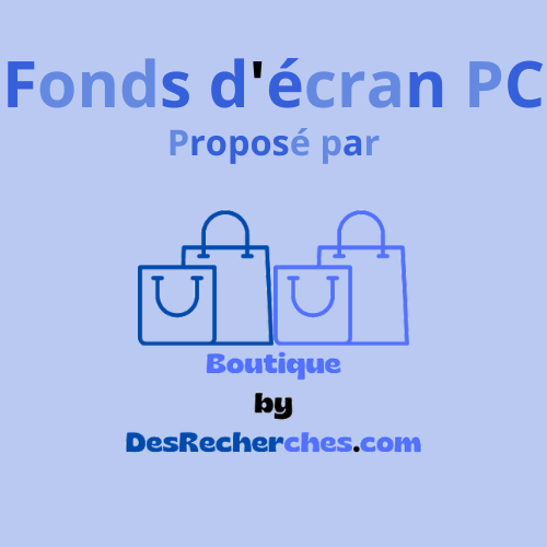 Logo - Fonds d'écran PC - Boutique by DesRecherches.com